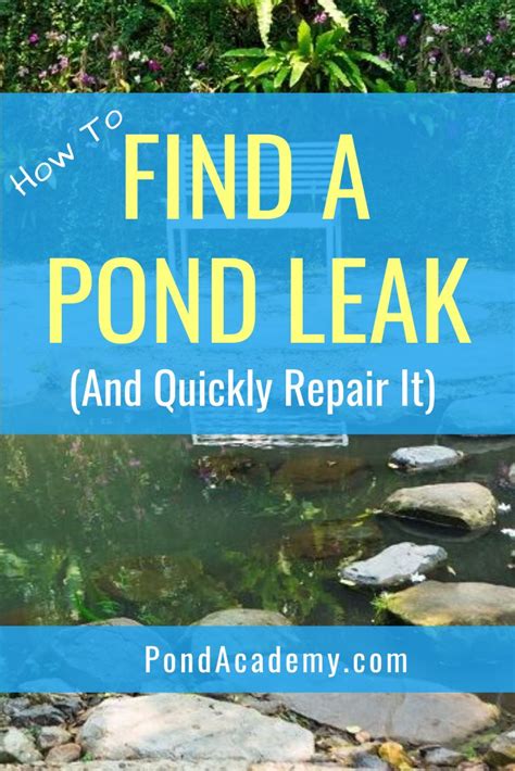 How To Best Find And Fix Pond Leaks Quickly